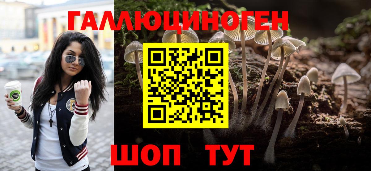 Галлюциногенные грибы Cubensis Балабаново