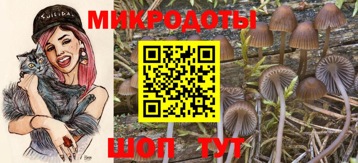 Балабаново  Галлюциногенные грибы GOLDEN TEACHER  Вход с VPN  Галлюциногенные грибы MAGIC MUSHROOMS 